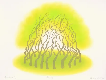 Трафарет Nash - Ash Dome, Spring