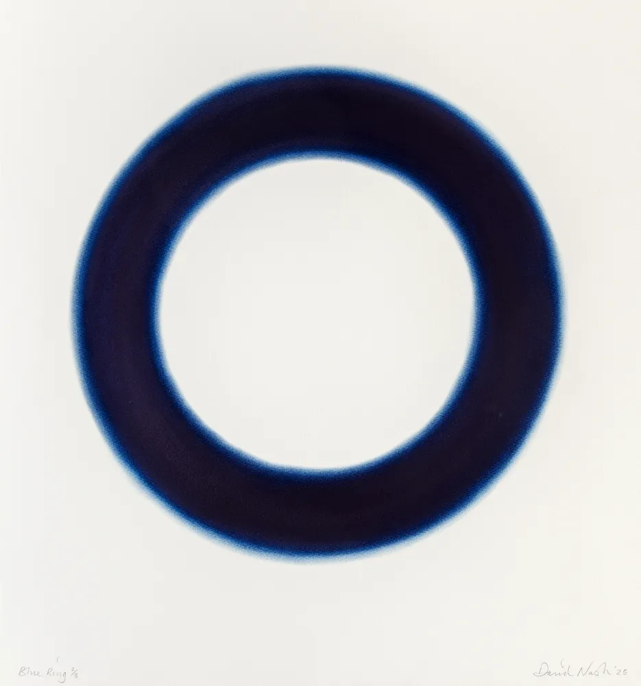 Трафарет Nash - Blue Ring