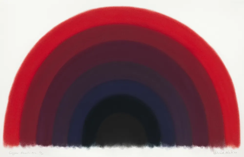 Трафарет Nash - Copper Beech Arc