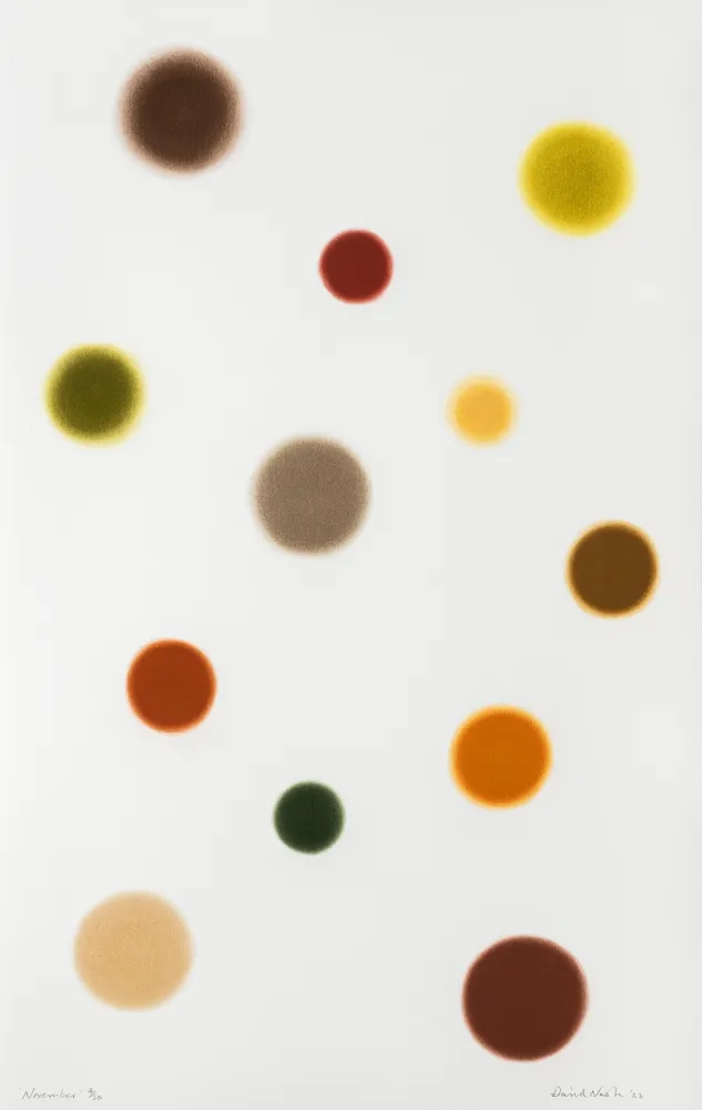 Трафарет Nash - November