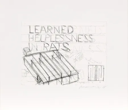 Офорт Nauman - Learned Helplessness from Rats