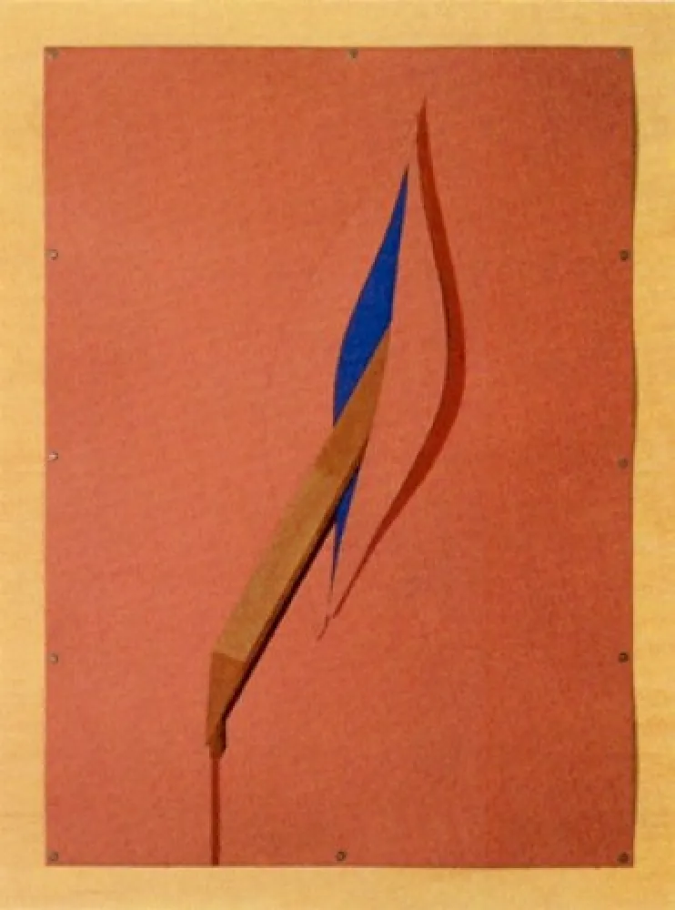 Многоэкземплярное Произведение Navarro - Manantial