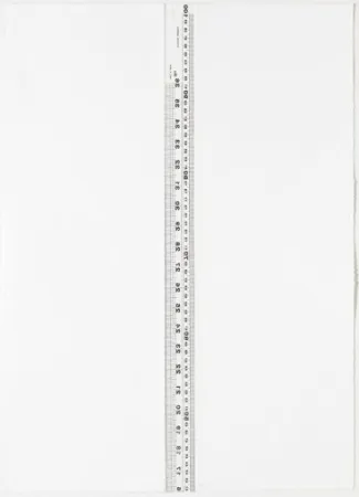 Литография Nicolai - Diptych S/T