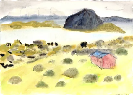 Нет Никаких Технических Niederreuther - Myvatn See (Lake Myvatn, Iceland)