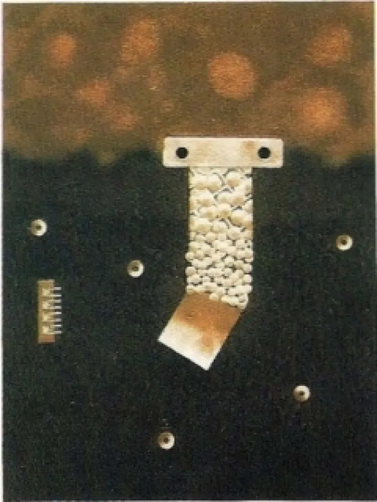 Гравюра Nissen - Mariposa obsidiana 6