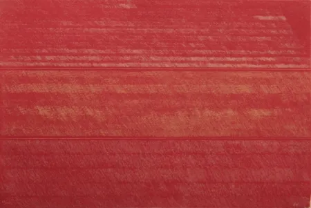 Офорт Noland - Portfolio 12th Anniversary of Galeria Joan Prats