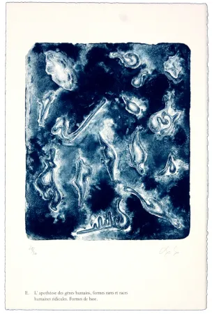 Литография Nørgaard - E. L'apothéose des gènes humains, formes rares et races humaines ridicules. Forme de base.