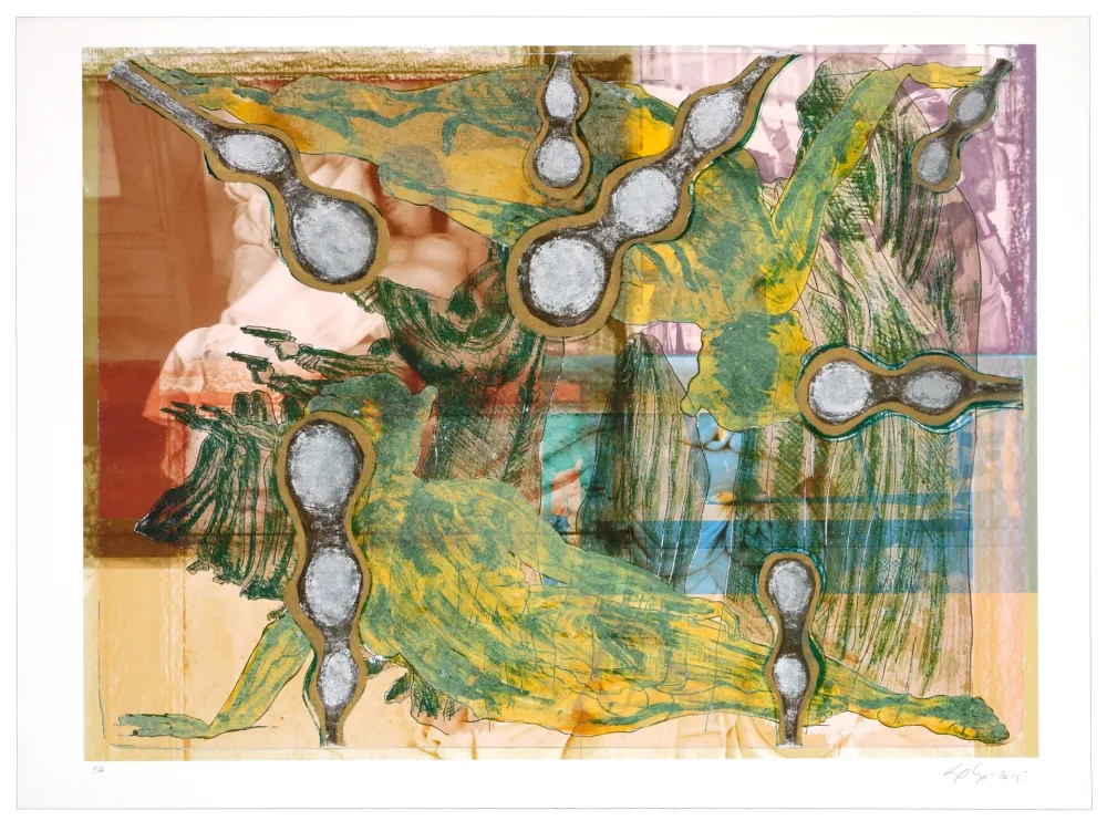 Литография Nørgaard - Serie Z