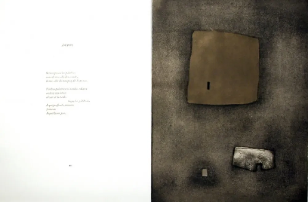 Иллюстрированная Книга Nóvoa - Alén