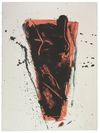 Литография Nupen - Séance II