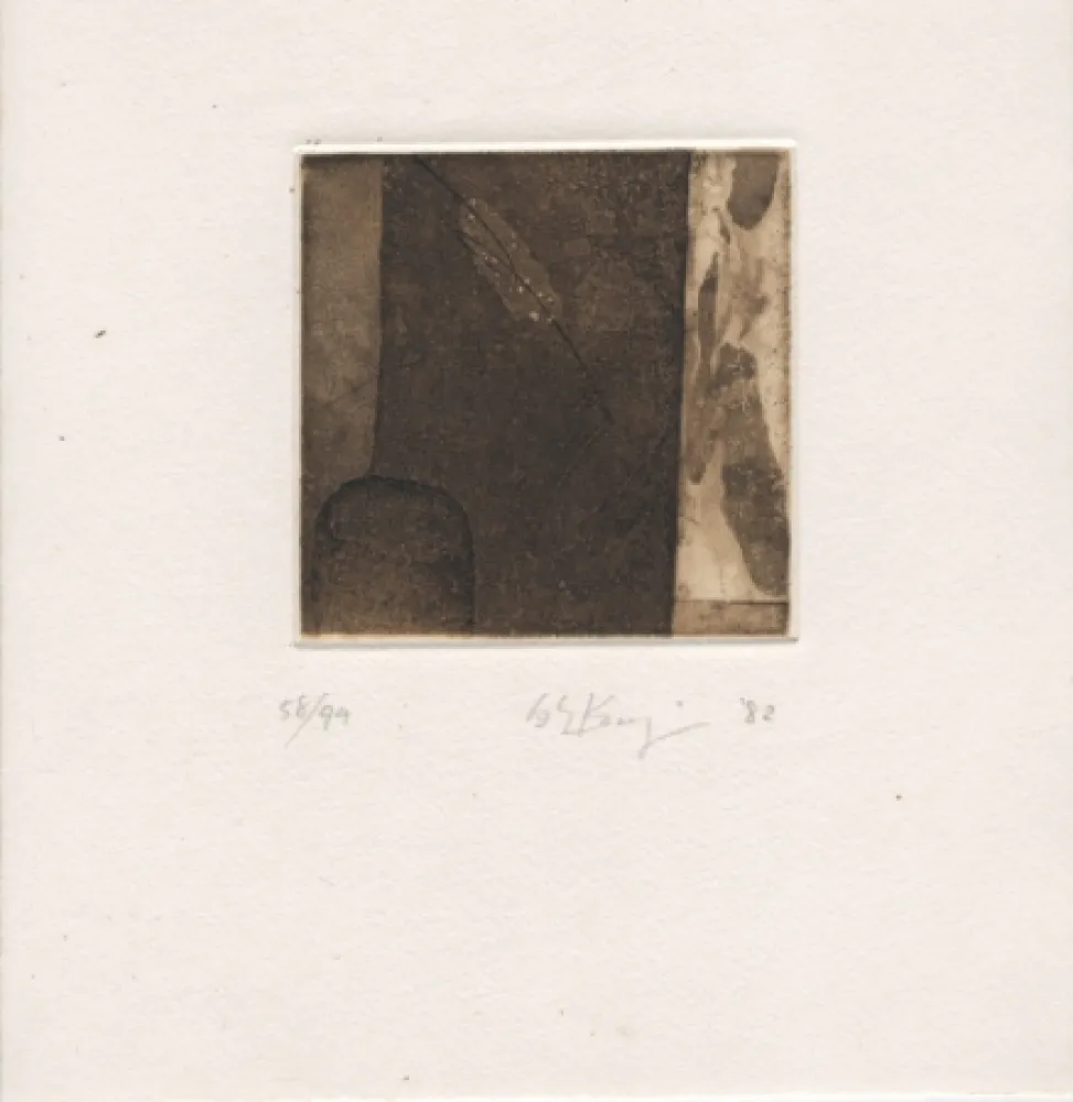 Иллюстрированная Книга Ochiai - Haiku