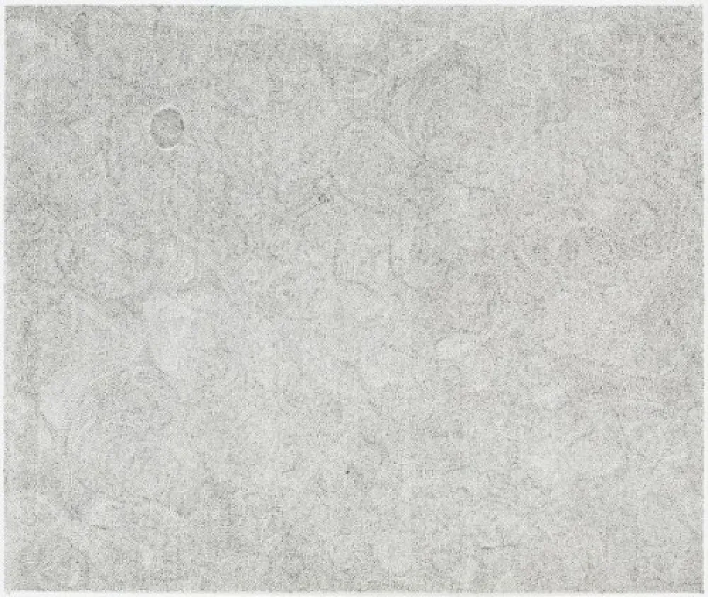 Гравюра Ofili - Untitled