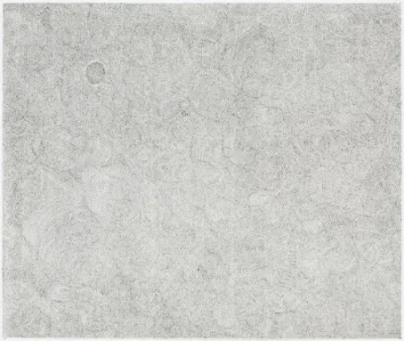 Гравюра Ofili - Untitled