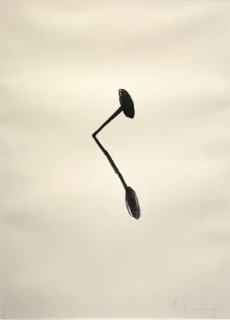 Литография Oldenburg - Braque's Nail