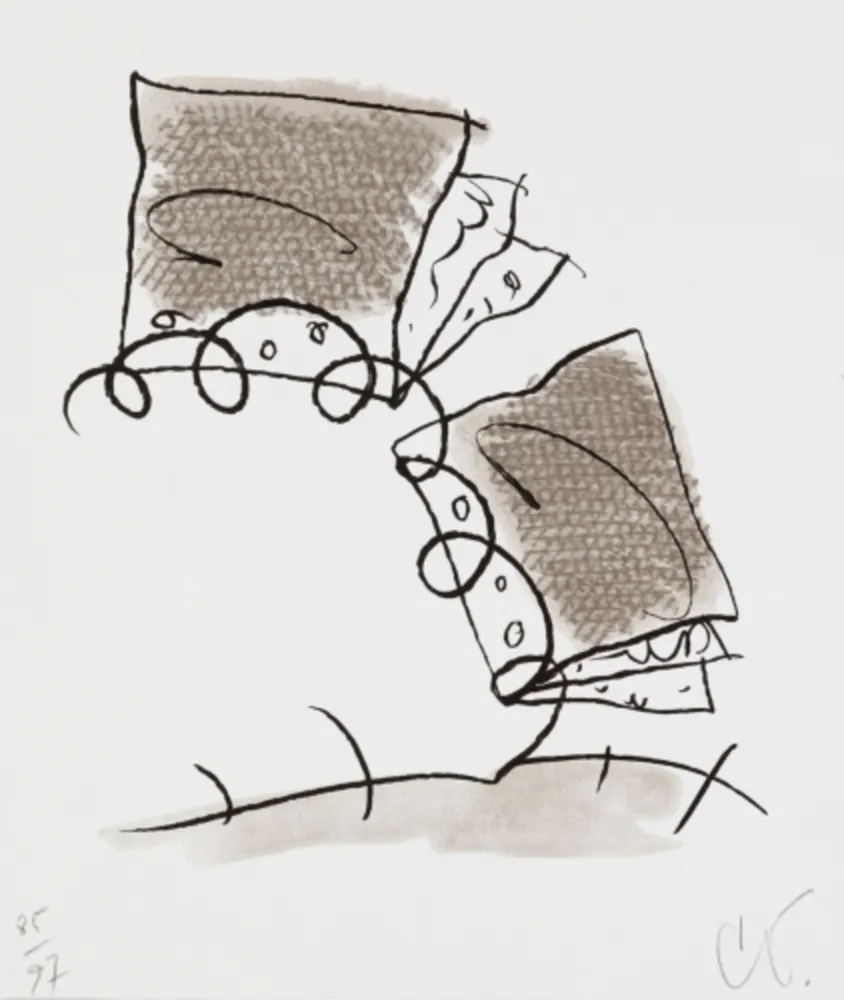 Литография Oldenburg - Notebook Torn in Half