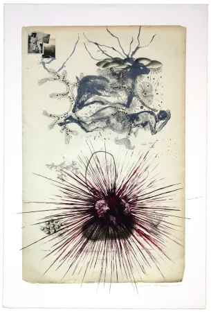 Литография Olguin - Sans titre