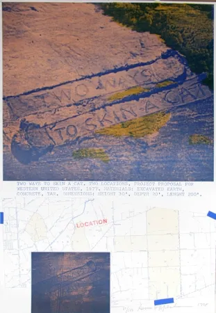 Литография Oppenheim - Two Ways to Skin a Cat