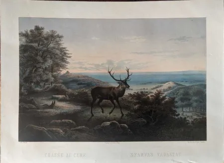 Нет Никаких Технических Orczy - Chasse au cerf / Szarvas vadászat