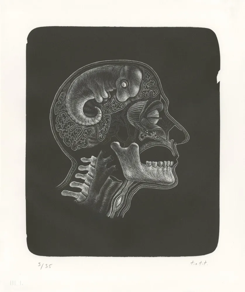 Литография Ott - Idee (Idée)