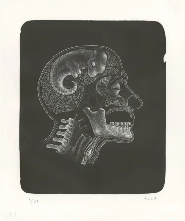 Литография Ott - Idee (Idée)