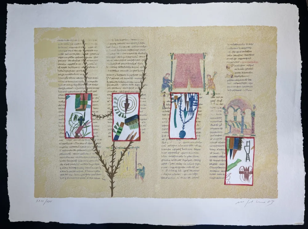 Многоэкземплярное Произведение Paladino - RABANUS MAURUS – De Universo 5