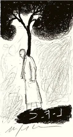 Иллюстрированная Книга Paladino - Tartre