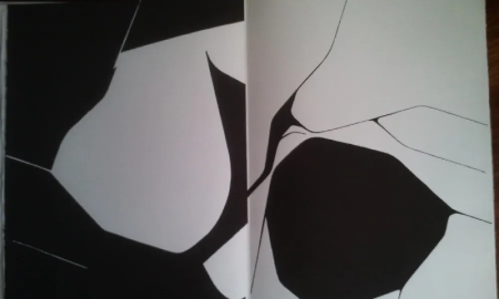 Иллюстрированная Книга Palazuelo - DLM 137 LUXE.