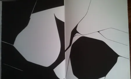 Иллюстрированная Книга Palazuelo - DLM 137 LUXE.