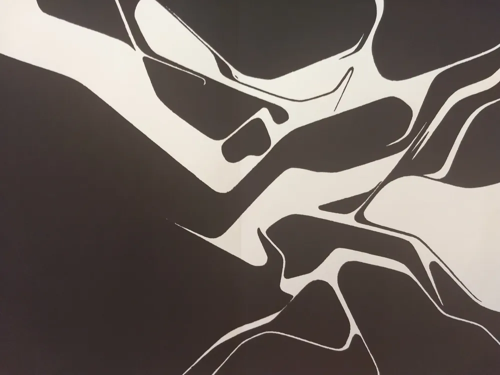 Иллюстрированная Книга Palazuelo - Edition Tete DLM 137