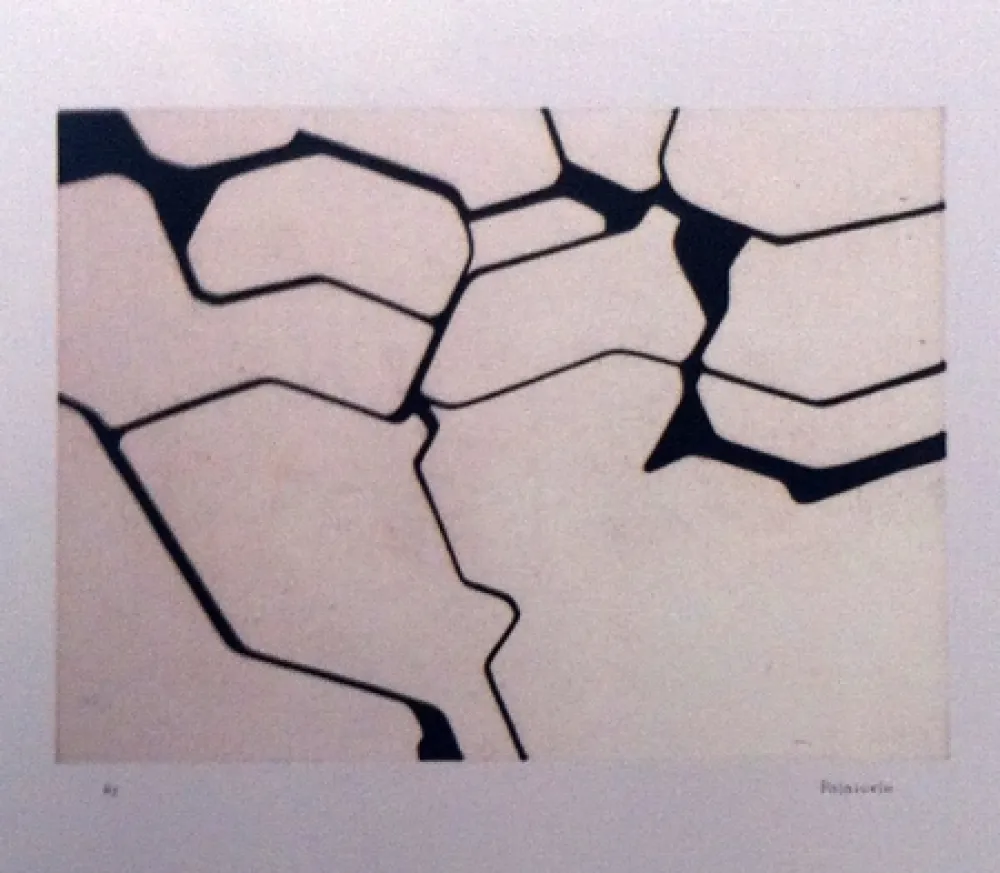 Акватинта Palazuelo - Nemo II