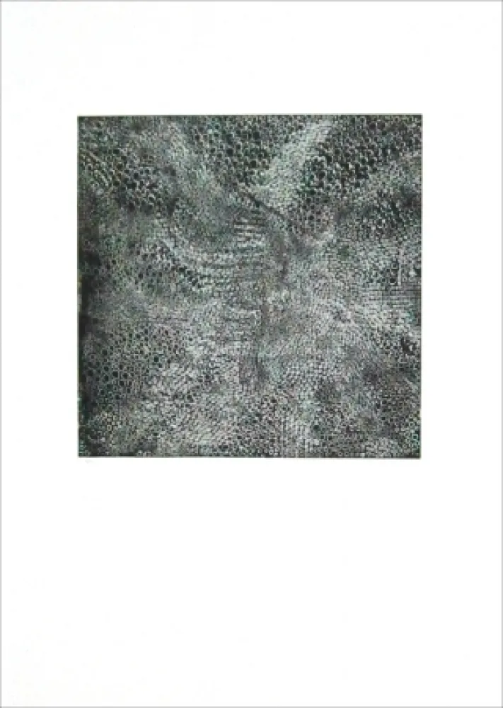 Офорт Parant - Eboulement pour le ciel