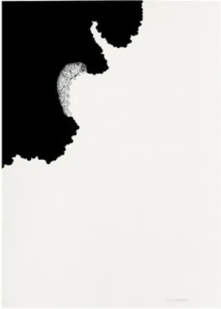 Литография Paris - Oruga