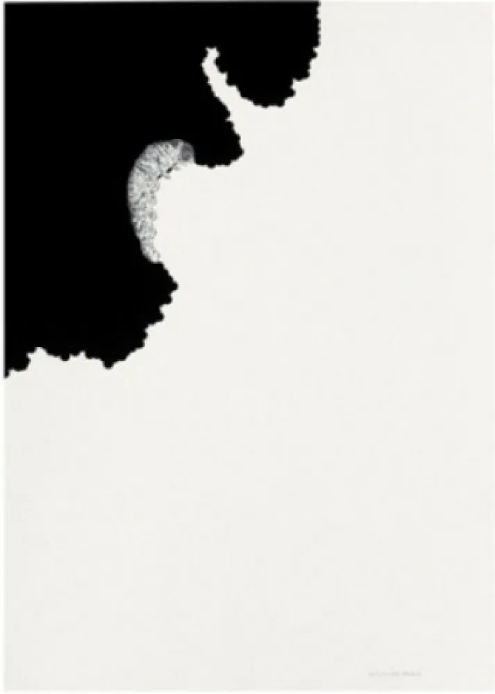 Литография Paris - Oruga