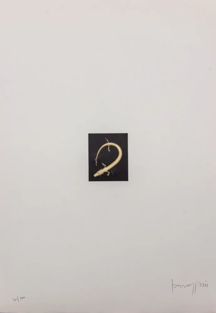 Литография Parmiggiani - SENZA TITOLO