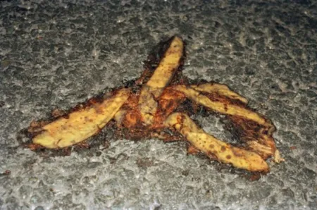 Многоэкземплярное Произведение Parr - #27