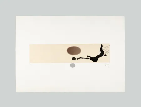 Акватинта Pasmore - Immagine grafica