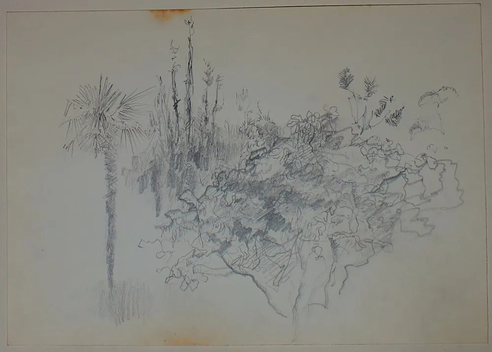 Нет Никаких Технических Pastor - Etude