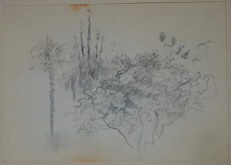 Нет Никаких Технических Pastor - Etude