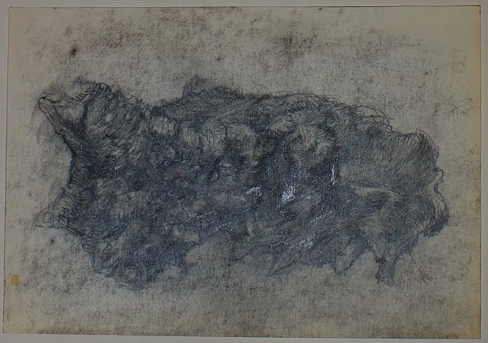 Нет Никаких Технических Pastor - Etude