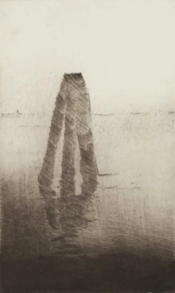 Многоэкземплярное Произведение Paul P - Boia