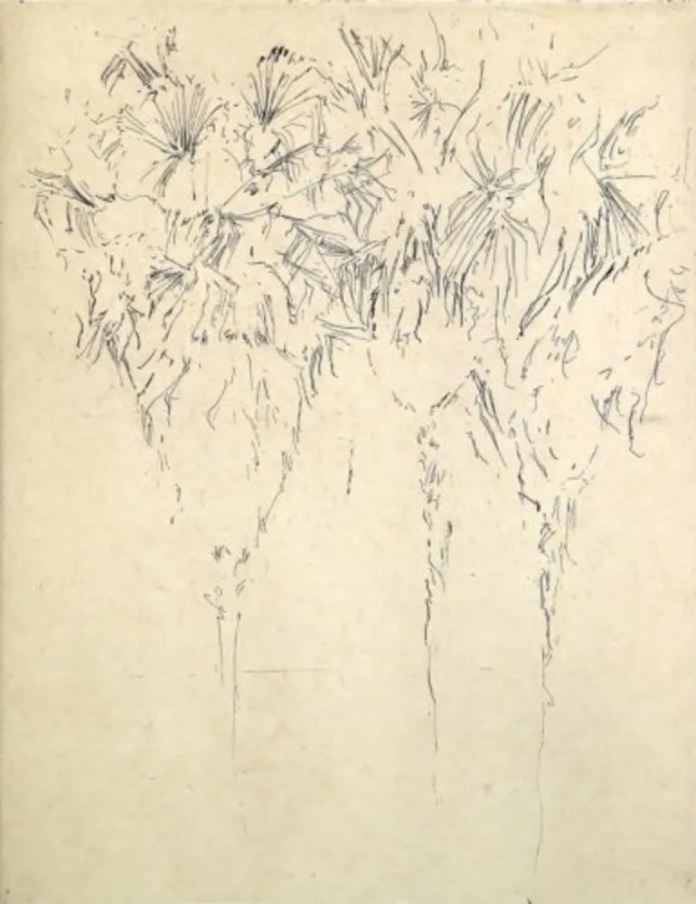 Многоэкземплярное Произведение Paul P - Tres palmeres