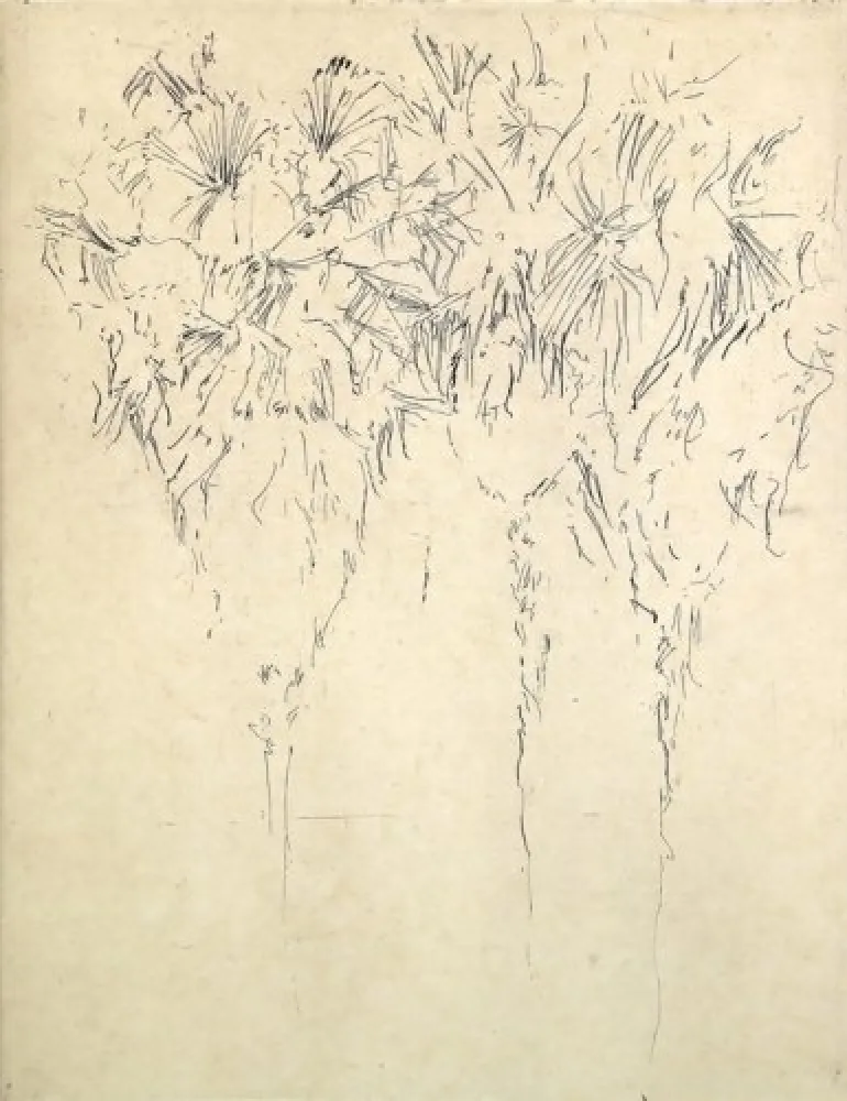 Гравюра Paul P - Tres palmeres