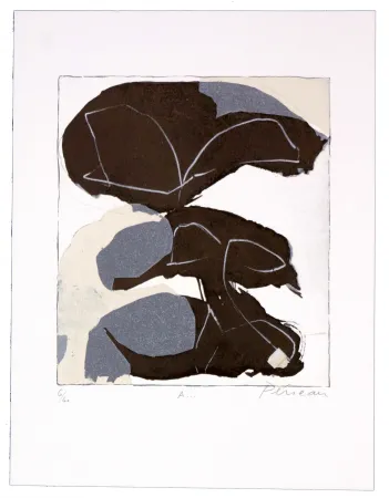 Литография Péneau - A storm to come