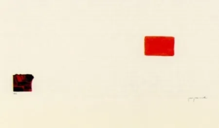 Литография Perejaume - El bosc a casa-3