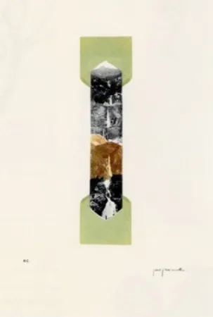 Литография Perejaume - El bosc a casa-4