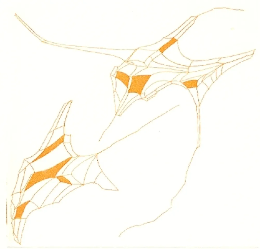 Иллюстрированная Книга Perilli - Phrases