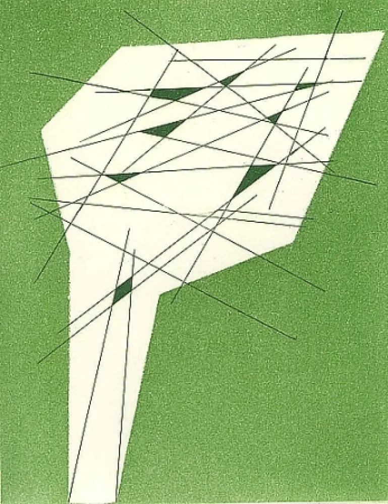 Иллюстрированная Книга Perilli - Pot-pourri