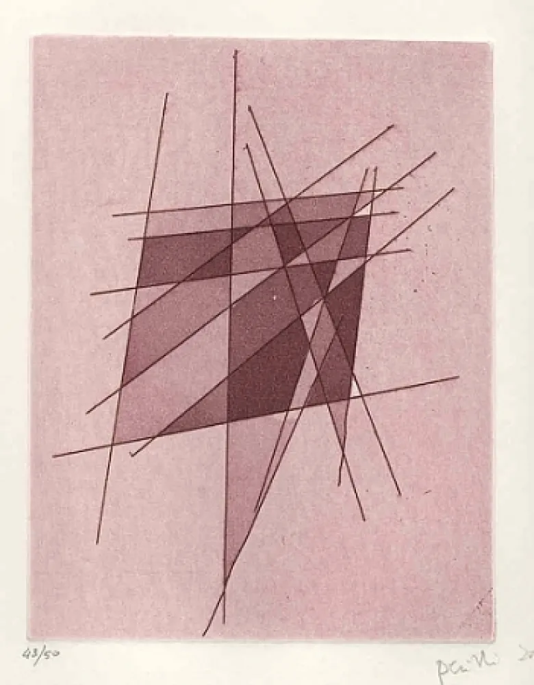 Иллюстрированная Книга Perilli - Sylvatica