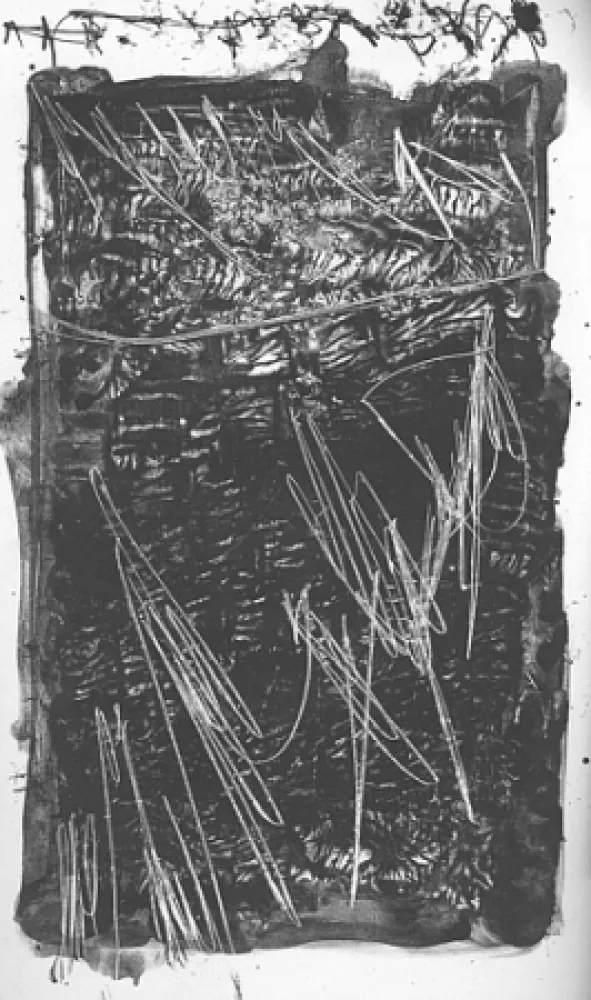 Иллюстрированная Книга Perilli - Theatrum Sanitatis