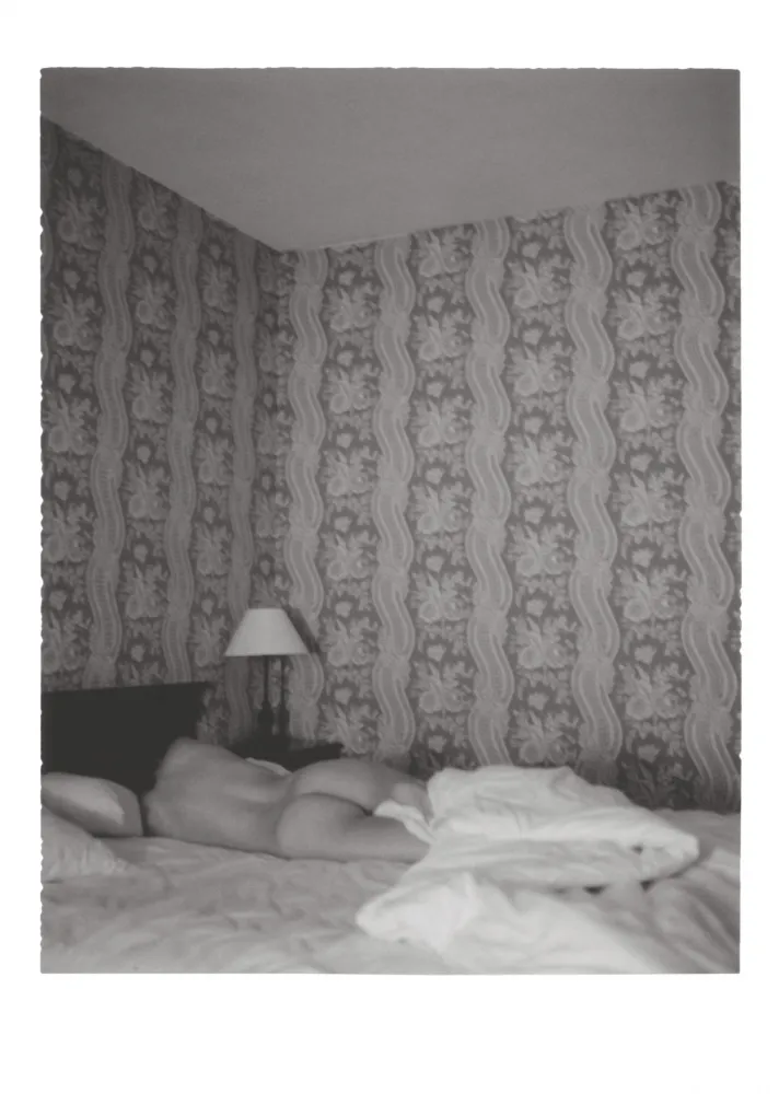 Цифровой Эстамп Pernot - Nu (Collection Naked)